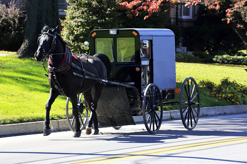 Horse-drawn Amish buggy on a paved Holmes County road